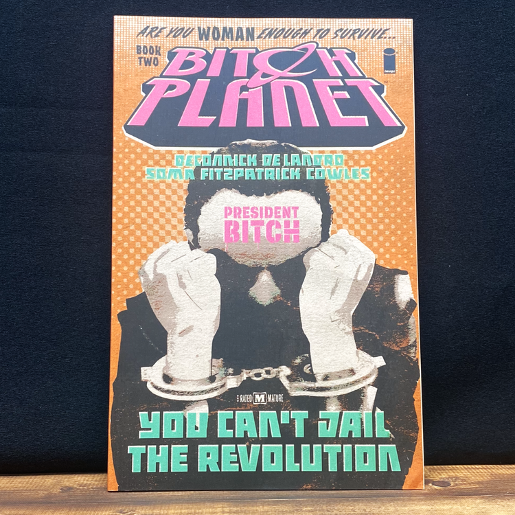 Less Than Perfect Bitch Planet Comics
