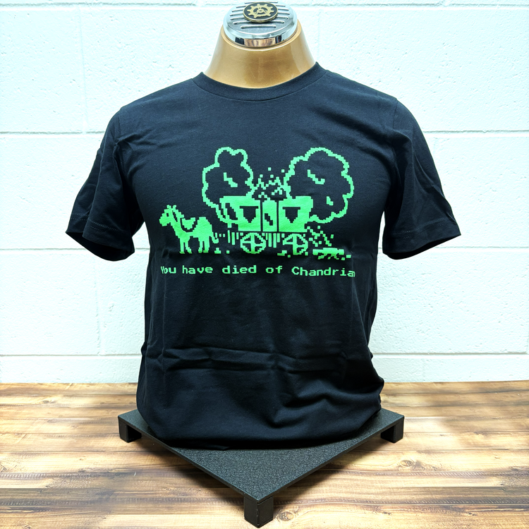 You Have Died of Chandrian T-shirt