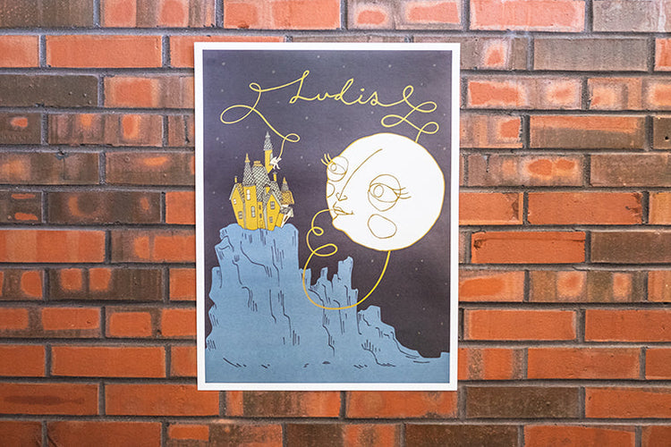 Ludis Poster