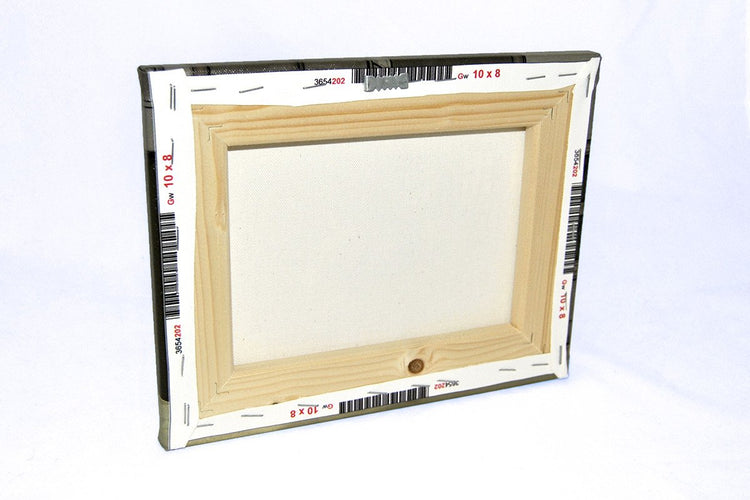 Art - Denna Who? Canvas Print