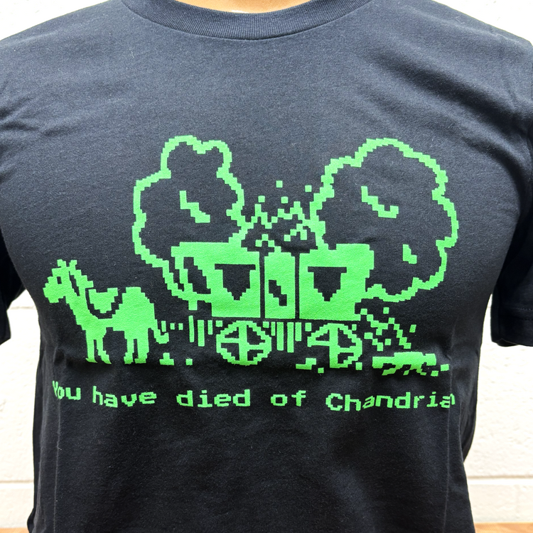You Have Died of Chandrian T-shirt