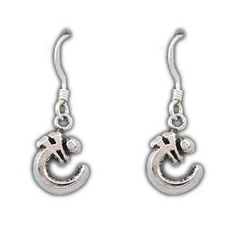 Jewelry - Allomancer Symbol Earrings